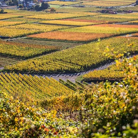 Hotel Rieslingquartier - Mosel Wein