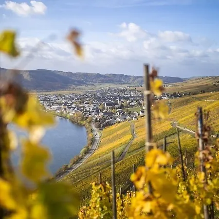 Rieslingquartier - Mosel Wein 3*