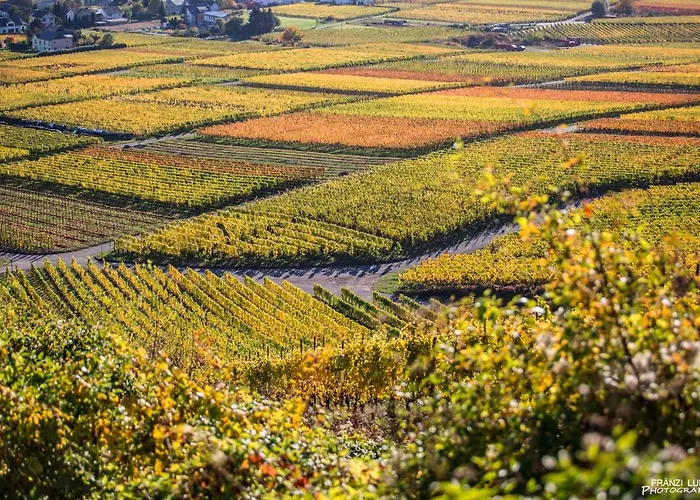 ホテル Rieslingquartier - Mosel Wein