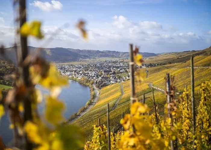Rieslingquartier - Mosel Wein 3*