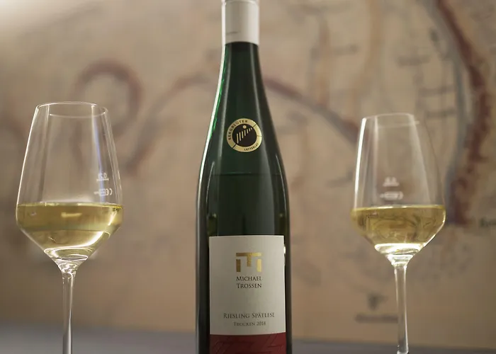 ホテル Rieslingquartier - Mosel Wein 3*