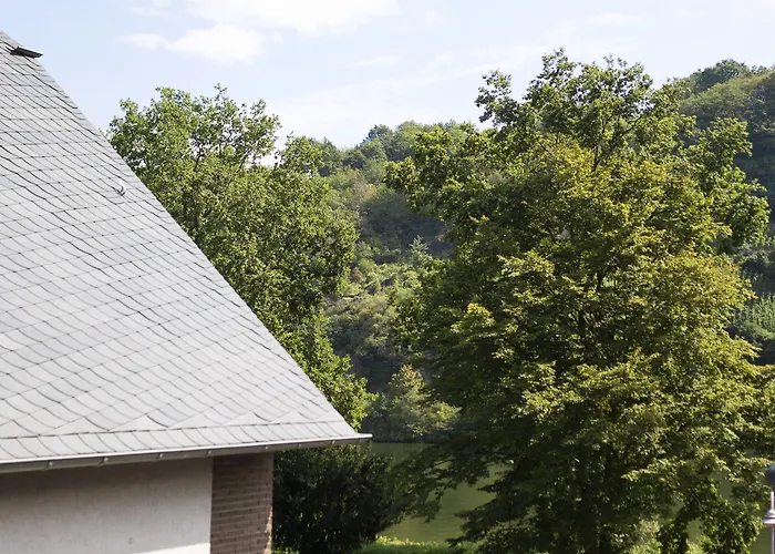 Rieslingquartier - Mosel Wein ホテル 3*